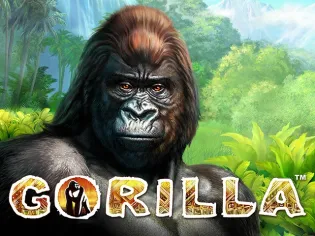Gorilla screenshot
